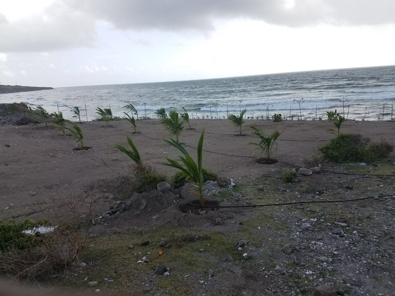 Eighty percent of Slope Stabilization revetment work completed says Project Manager