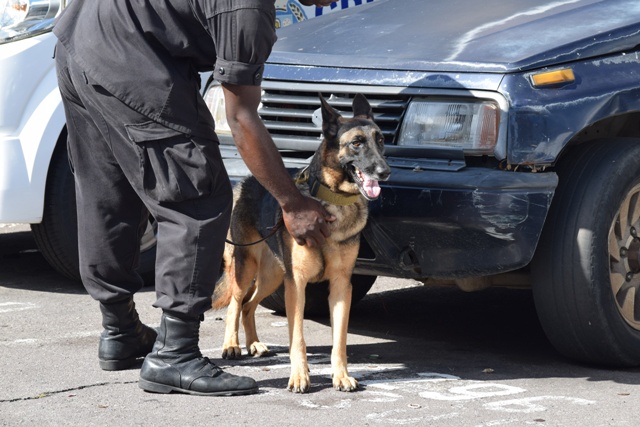 District ‘B’ Turns Up Heat with Increased Patrols and Searches