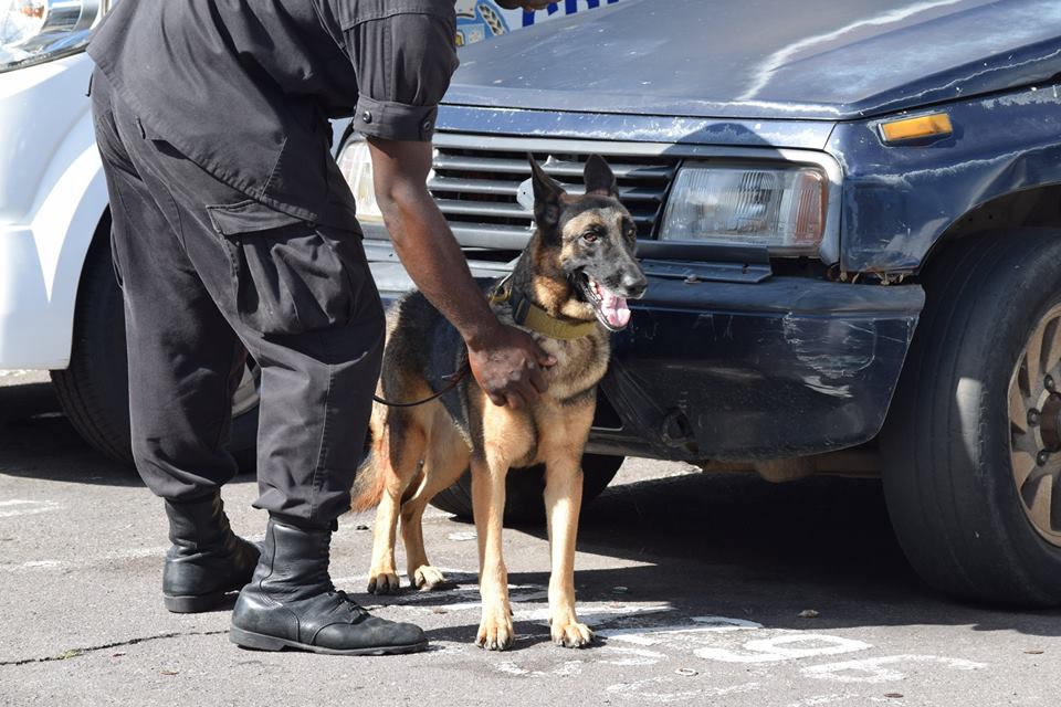 Police turns up heat with increased patrols and searches