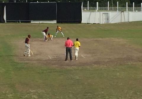 Cricket