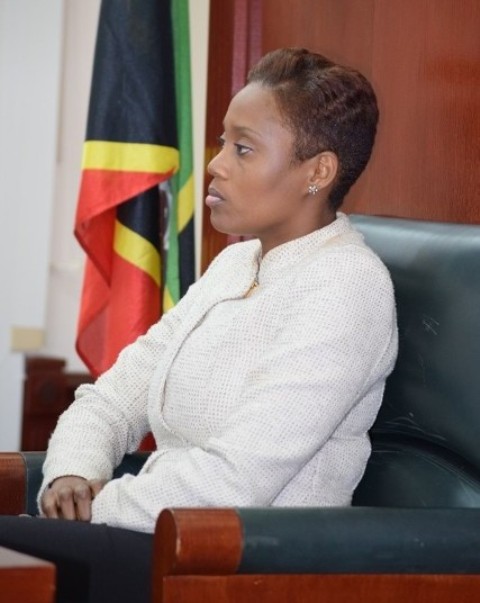 Senator Byron-Nisbett Strongly Supports Firearms Amendment Bill 2017