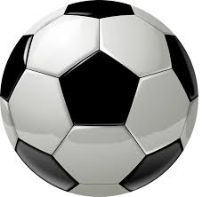The Department of Youth & Sports Nevis will be hosting a Youth Coaching Course