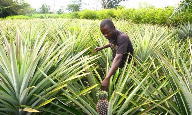 Government Earmarks Land to Give At Risk Persons A Fresh Start
