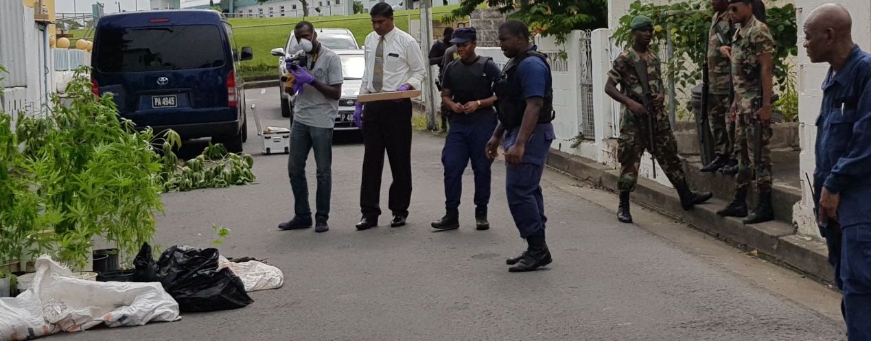 Report of Arrests, Convictions and Other Activities