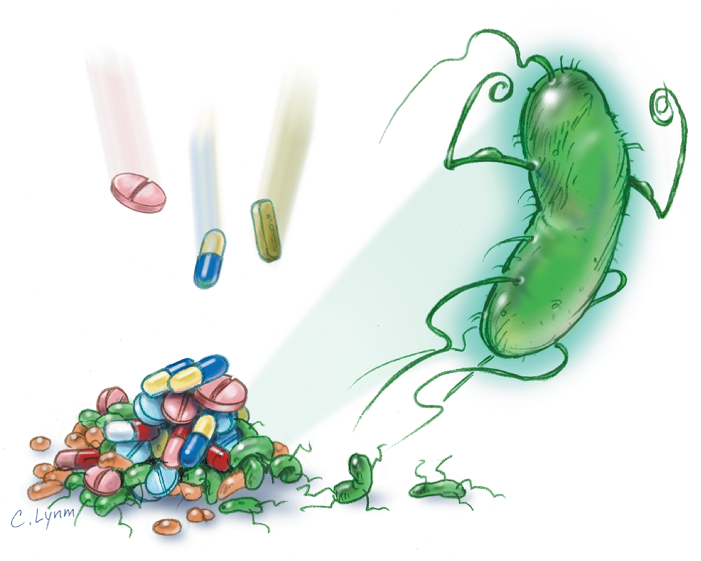 Ministry Of Health Sensitizes the Public on Antimicrobial Resistance