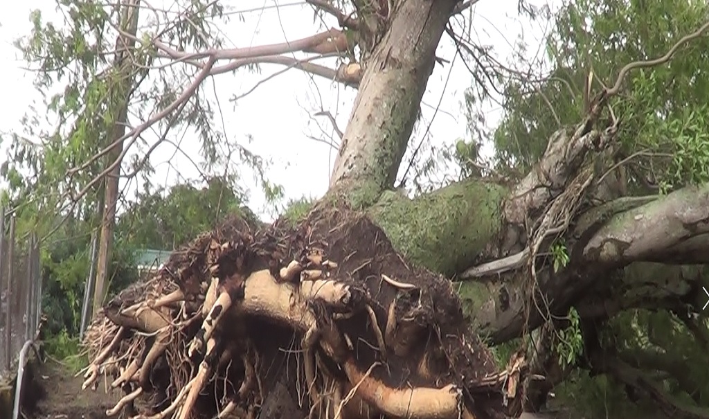 Hurricane Maria Slams Nevis but Residents Thanking God for His Tremendous Mercies