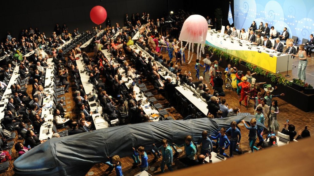 Combating climate change: the OECS an official partner of COP 23