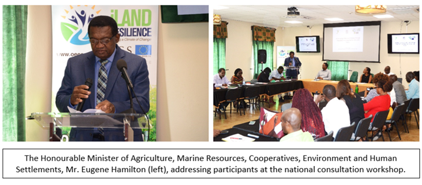 Designing a National Climate Change Adaptation Strategy  for St. Kitts and Nevis