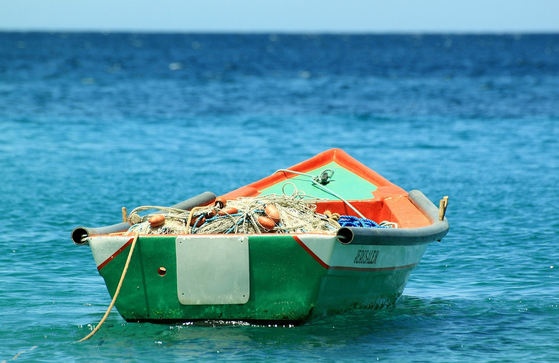 Elevating the OECS Agriculture and Fisheries Sector: an opportunity for a different future