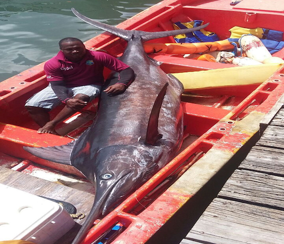 Better fish catches touted among benefits of  novel CARIFICO project