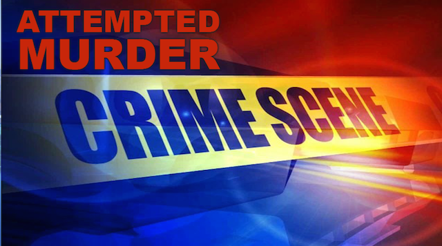 Police Investigating Attempted Robbery, Attempted Murder Incident