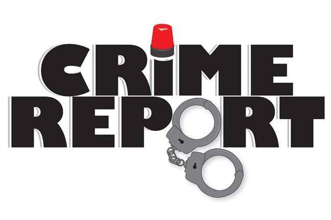 Report Of Arrests, Conviction And Other Activities