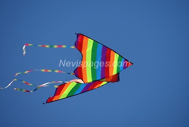 IMG_62