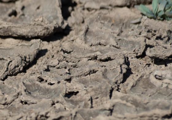 Drought concerns in parts of the Caribbean