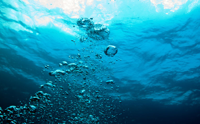 Dunn died as a result of asphyxia due to drowning