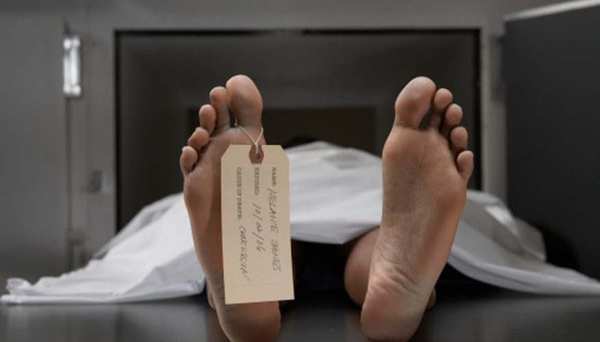 Six murders committed in March this year