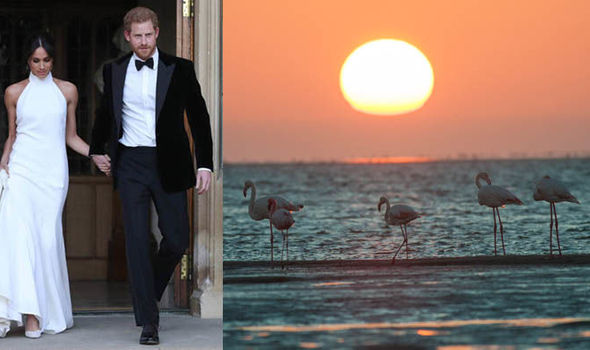 Meghan Markle and Prince Harry honeymoon destinations: Where will royal couple go?