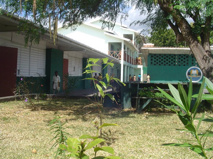 Irish Town Primary school students  traumatised after shooting incident