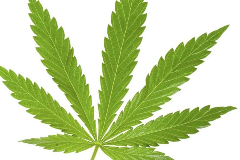 St. Kitts & Nevis Marijuana Commission