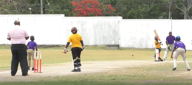 Match Summary in Primary School Cricket Semi Final Two