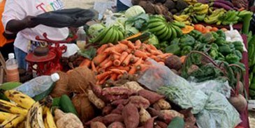 Farmers Encouraged To Register and Take Advantage of EC$2 Million Fund at Development Bank of St. Kitts and Nevis