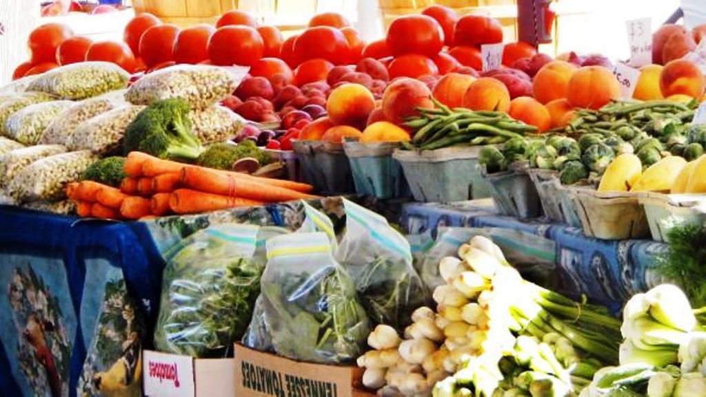 Strengthening the Agriculture Sector is a Key to Sustainable Economy, Says Prime Minister Harris