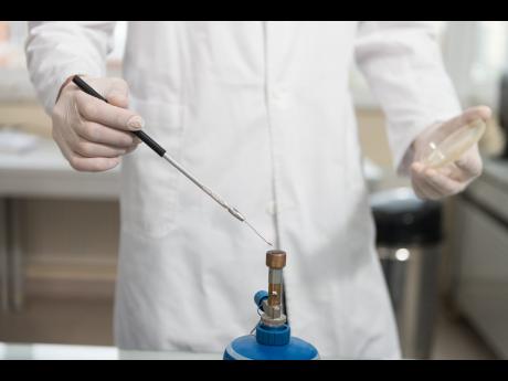 Classroom raid – UK-based firm heading to Jamaica in search of already critically short science teachers