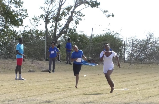 Blue House Wins at NISS