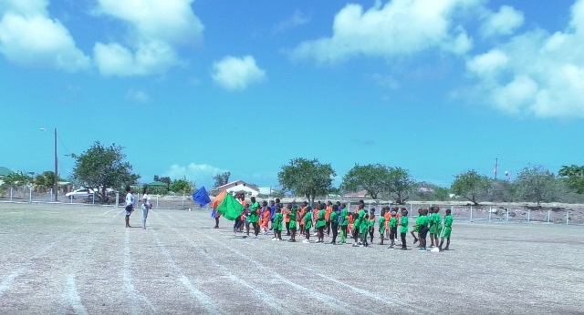 Breaking News-Nevis Academy Is In!