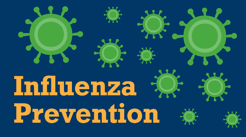 Seasonal Influenza (Flu)