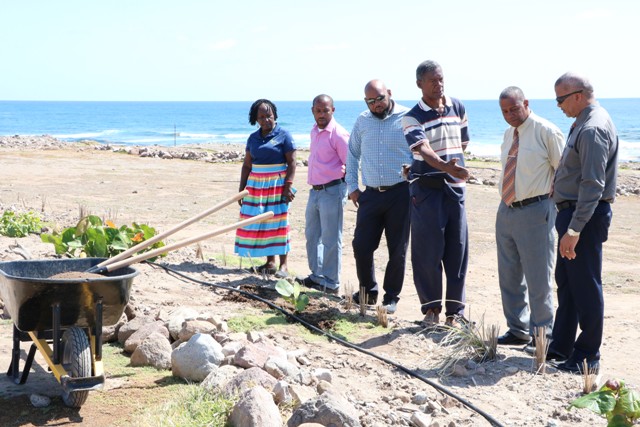 NIA ministers Evelyn, Brand pleased with NHCS New River reforestation project