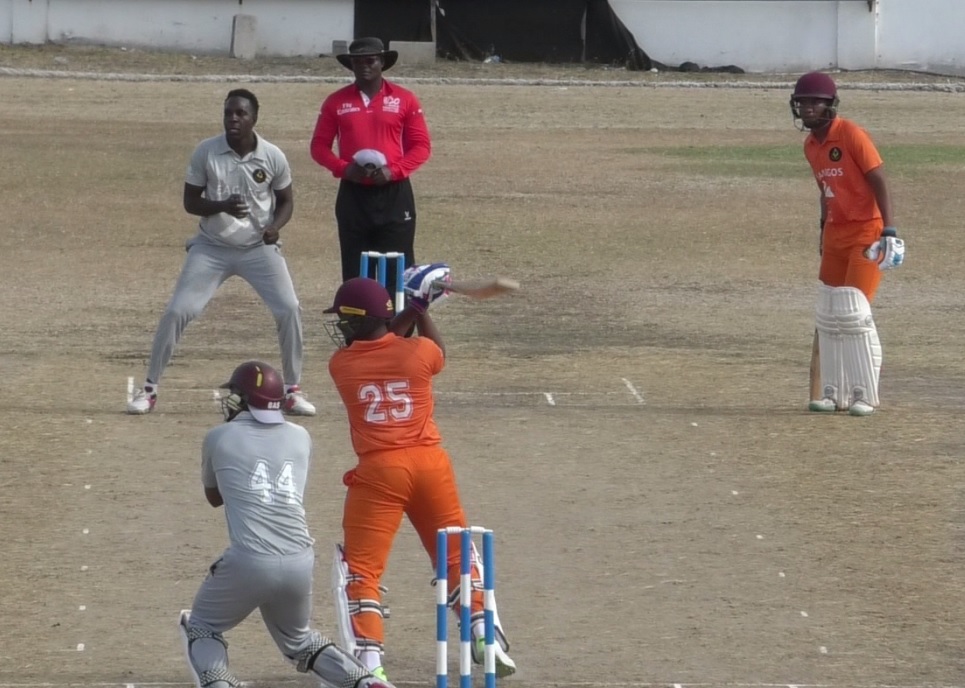 Flamingos Topple Eagles