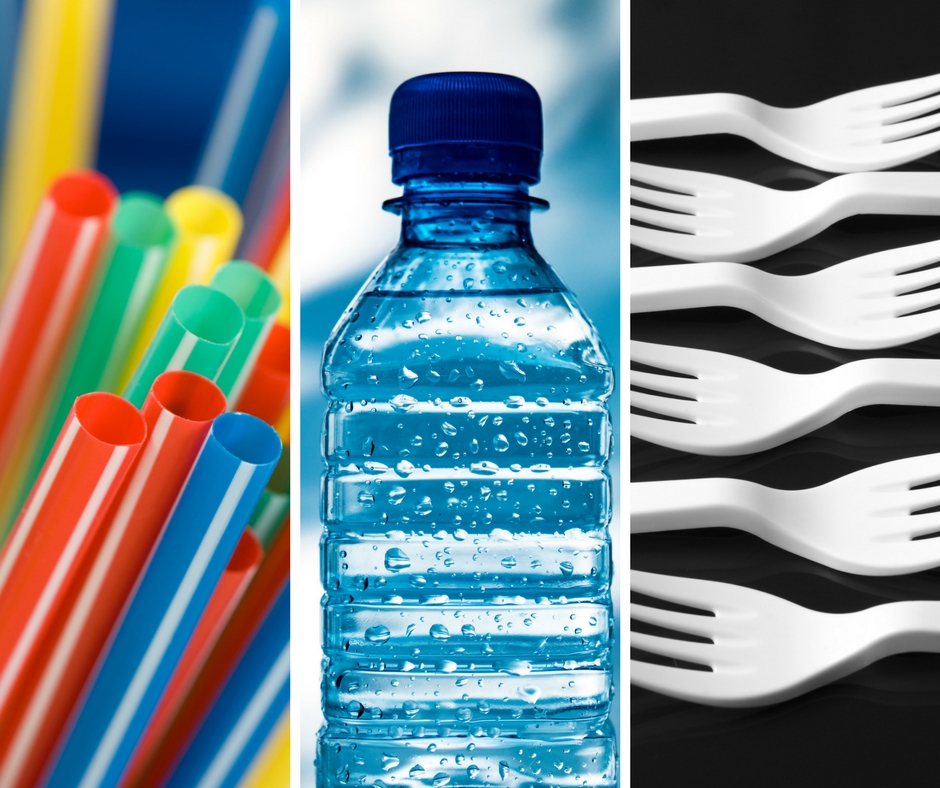 Single Use Plastics Present a Danger to the Local Environment, Says Director of Department Of Environment in St. Kitts