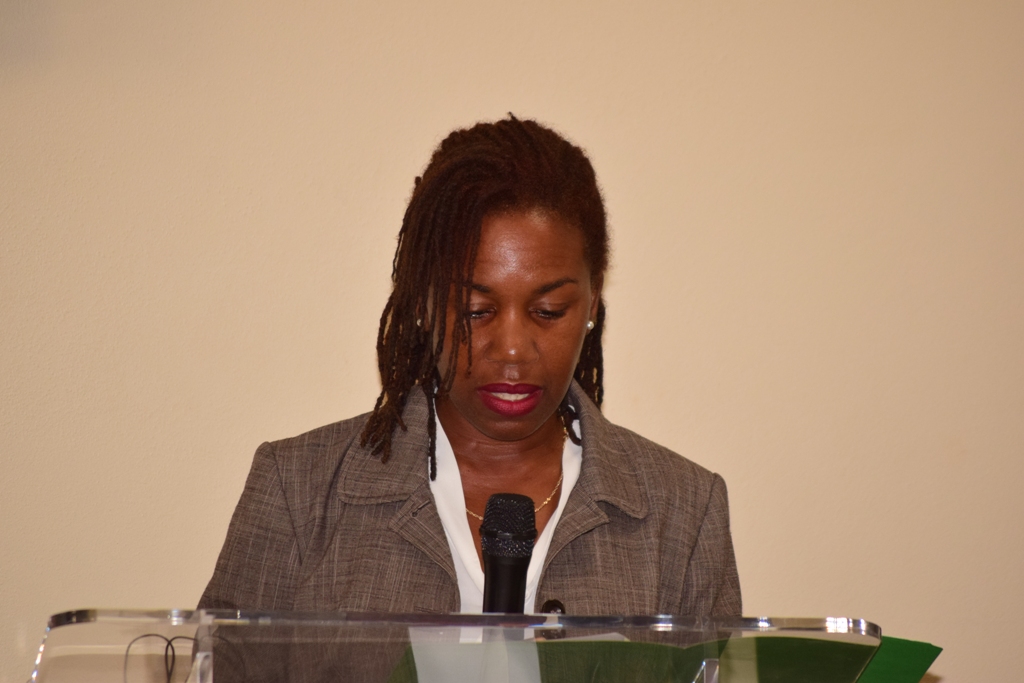 Stakeholders in St. Kitts-Nevis Participate in Workshop Aimed at Addressing Domestic and Sexual Violence Issues