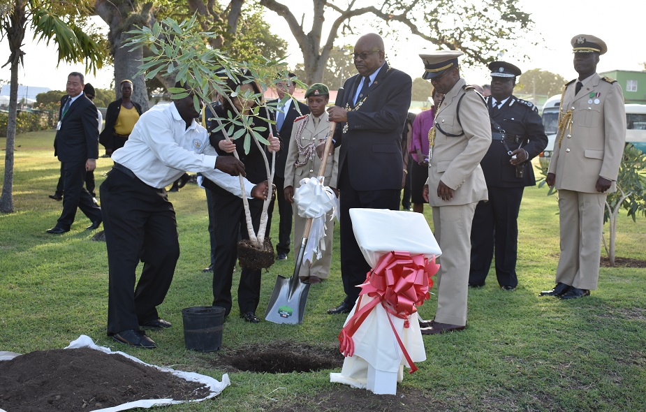 Relationship between St. Kitts-Nevis and Republic of China (Taiwan) Takes Root at Government House