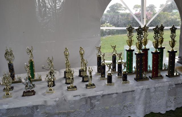 Excellence in Sports to be Celebrated Tomorrow (July 17)