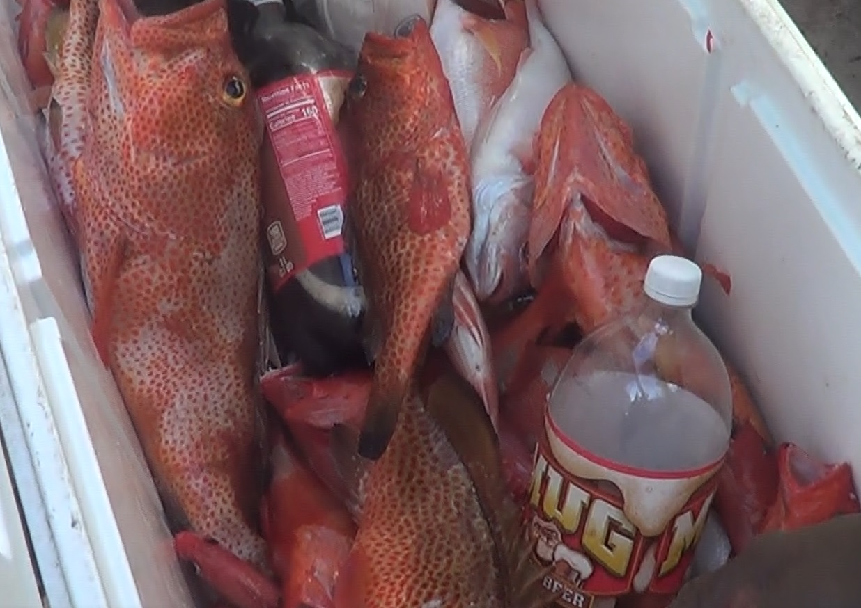 Fishing Tournament a Success