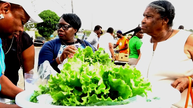Popular Dept. of Agriculture’s Farmers Market on Nevis returns