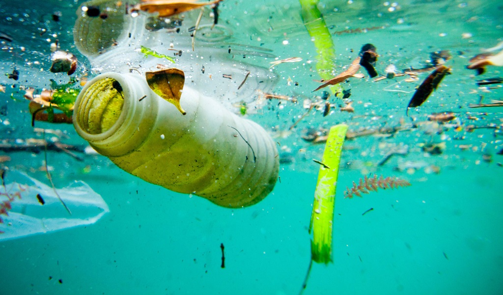 St Kitts-Nevis Government Considers Ban of Single Use Plastics