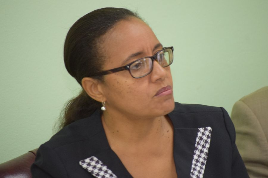 CARICOM Heads of Government Meeting Held To Discuss Mitigating the Spread of Covid-19 on Key Sectors, Such As Tourism