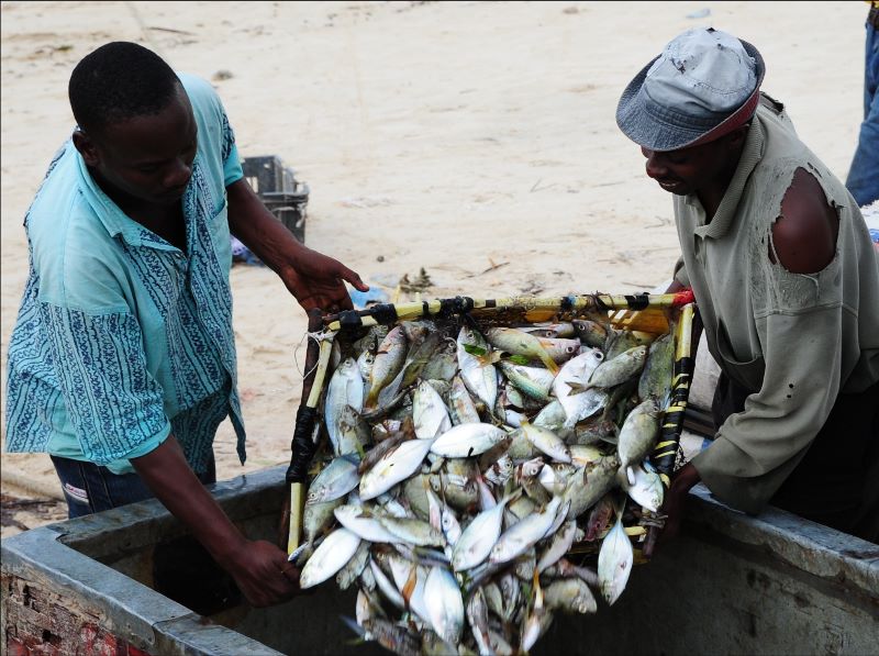 Fisher folk And Farmers to Be Allowed to Engage in Their Trade during Partial Curfew Days