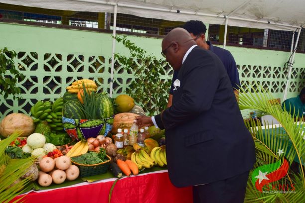 St. Kitts and Nevis Government Promotes Alternative Sectors for Persons to Earn a Living during COVID-19