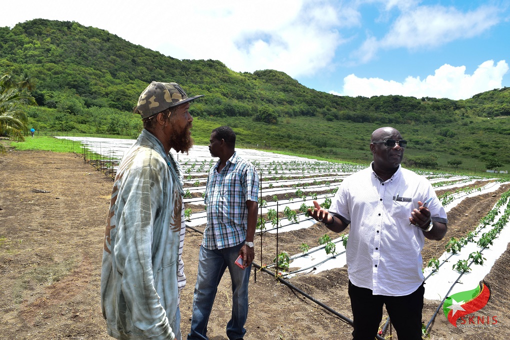 Minister of Agriculture Visits 12 Farms in St. Kitts
