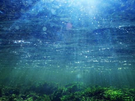 Global Partners Pledge Support For Blue Economy Investments In The OECS
