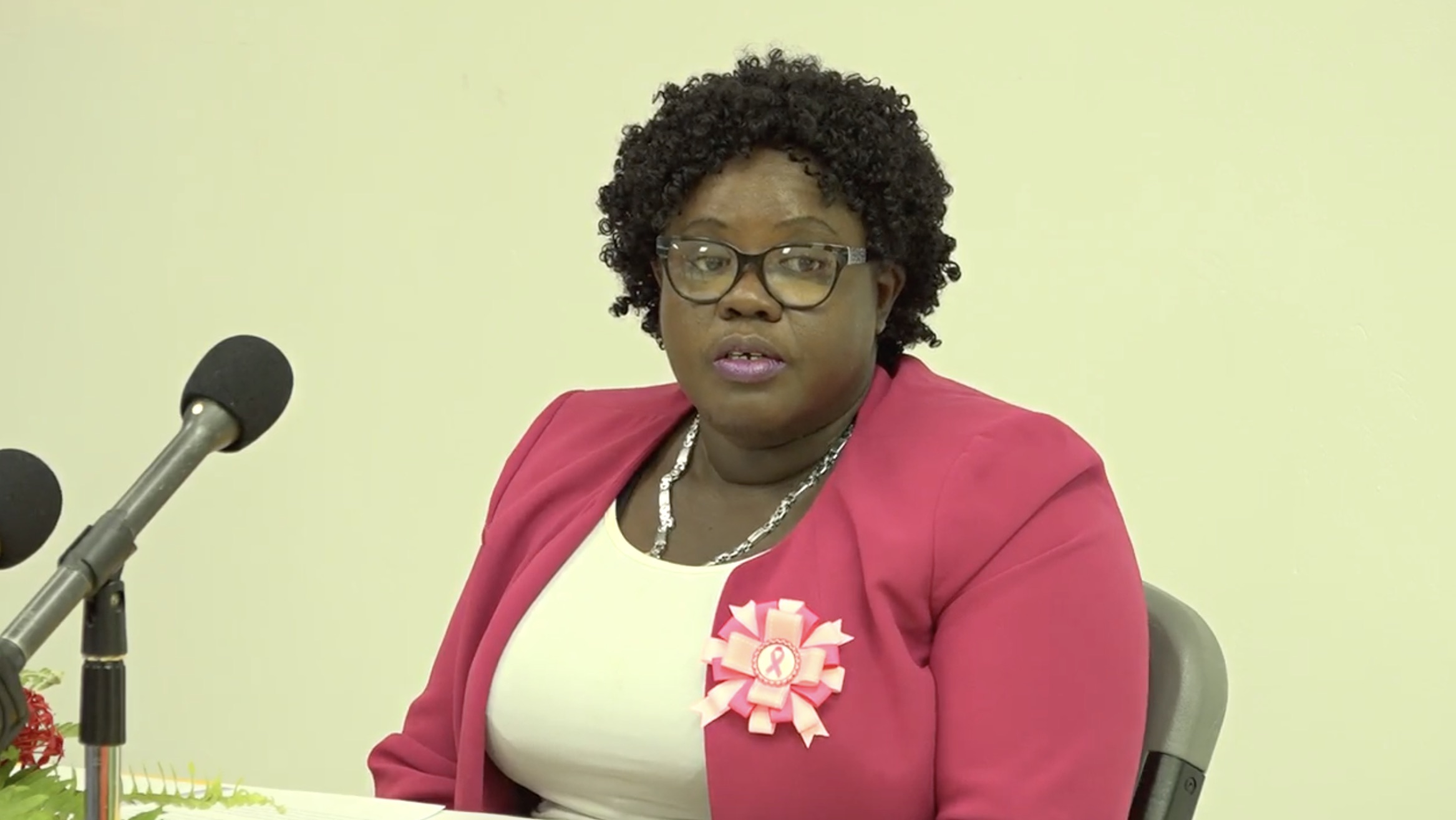 Small Business Boot Camp participants on Nevis urged to work together