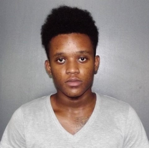 Brandon Lee Wells Sentenced to Life