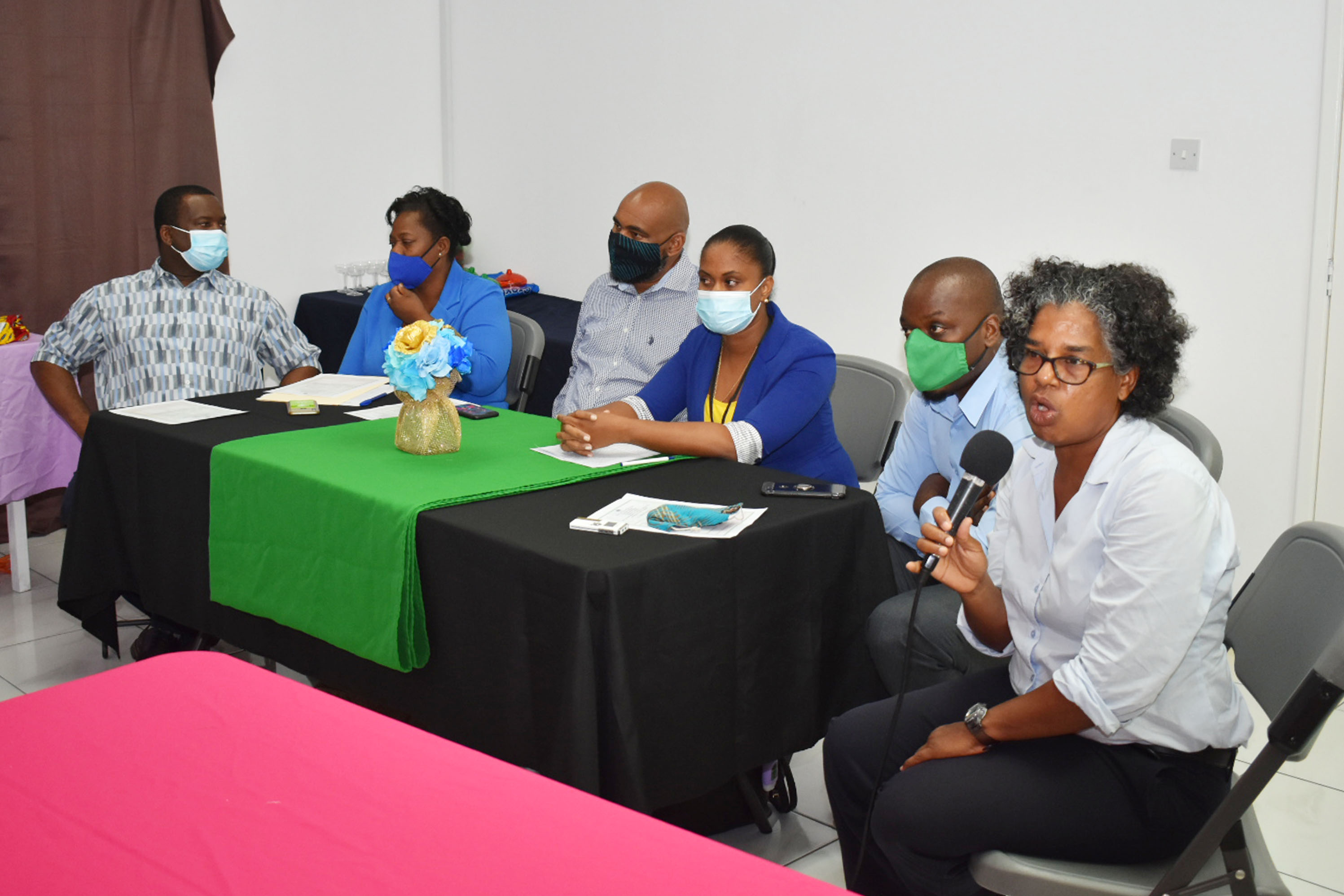Food Security: IICA provides twenty grow boxes to backyard farmers on Nevis