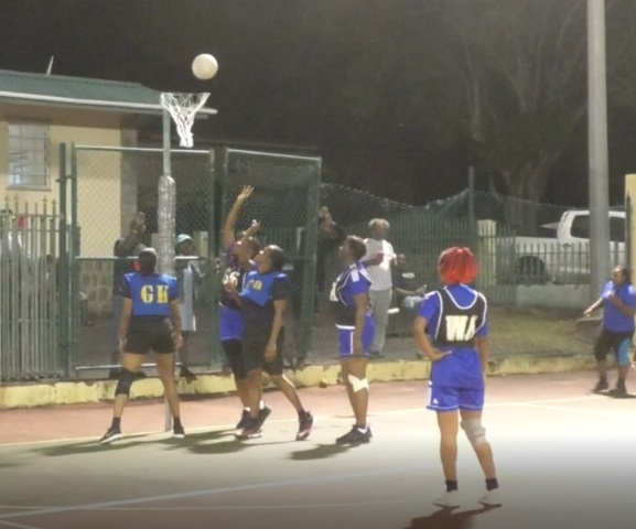 Netball  : Vixens Swallow Blue Tides