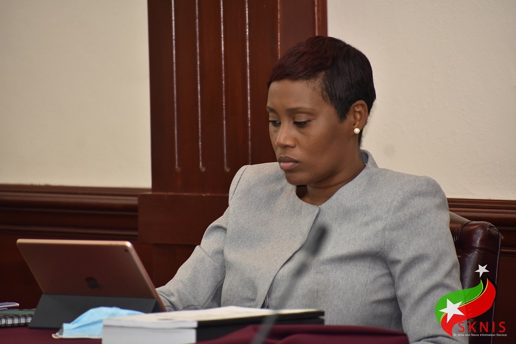 Government Positions St. Kitts And Nevis To Be A Leader in The Digital World