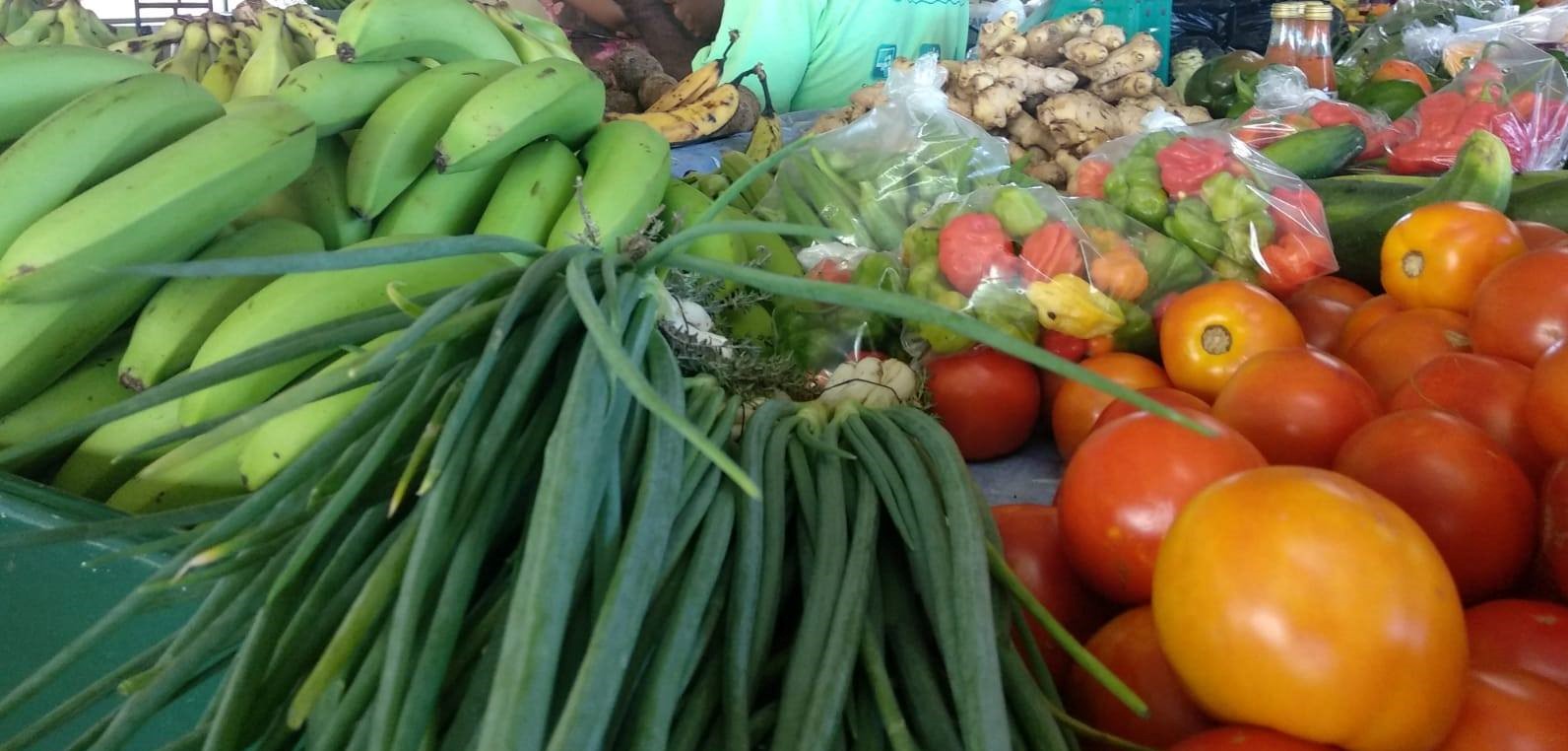 Department of Agriculture resumes weekly Fresh Vegetable Market